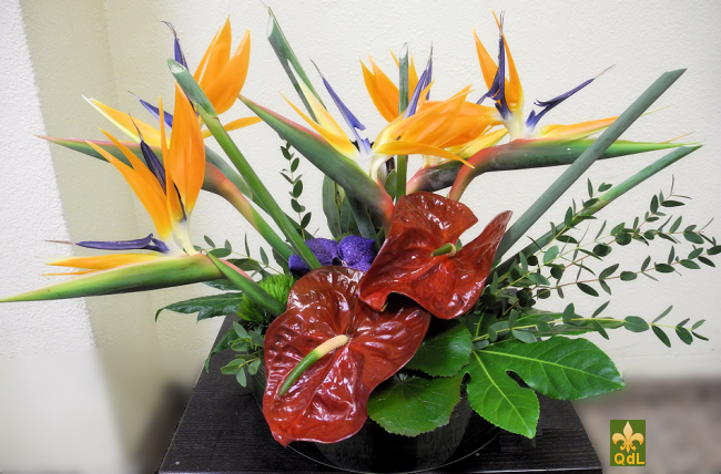 Arrangements-19