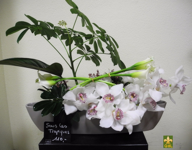 Arrangements-3