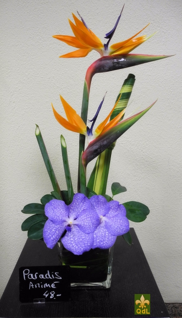 Arrangements-5