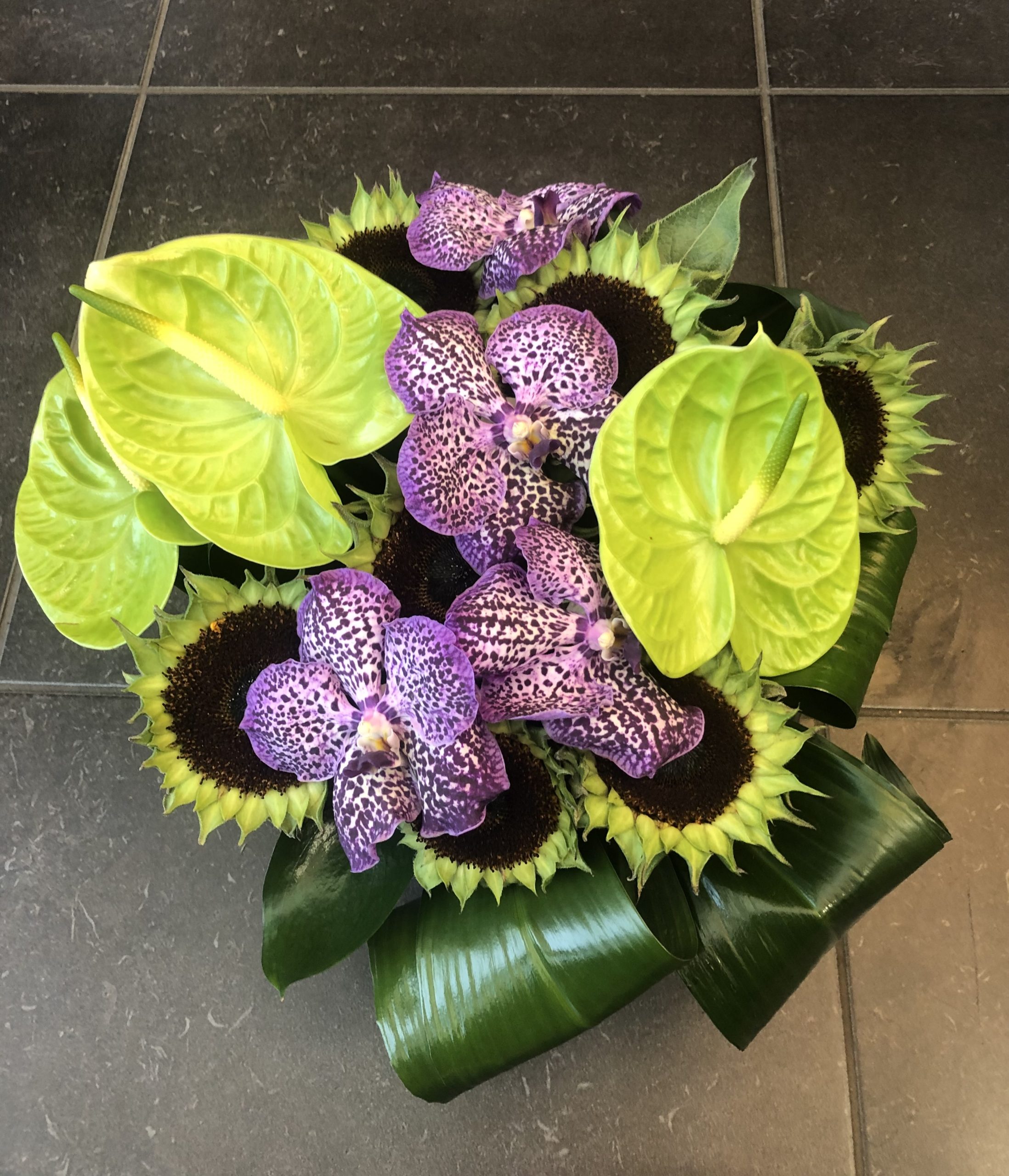 coeur-de-vanda-scaled