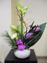 Amaryllis, Anthurium , saule, fleuron de Vanda