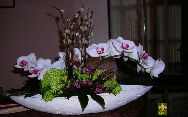 Branche de Phalaenopsis Châton , Viburnum Boule de Neige , Fleurs de Cire 